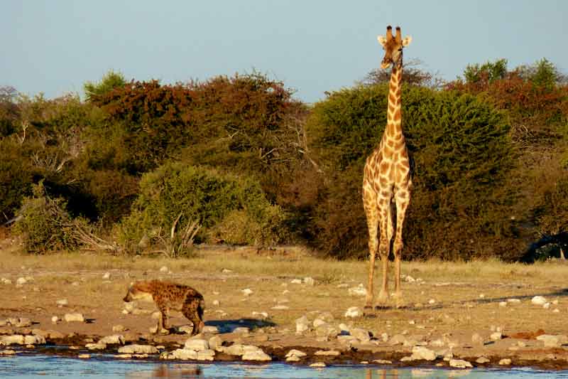 Namibia